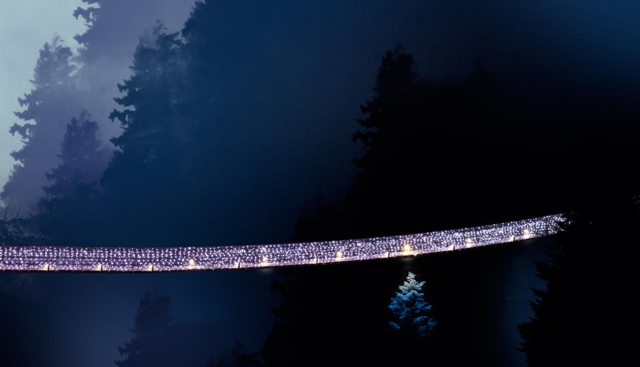 Световое шоу Canyon Lights в парке Висячий мост Капилано